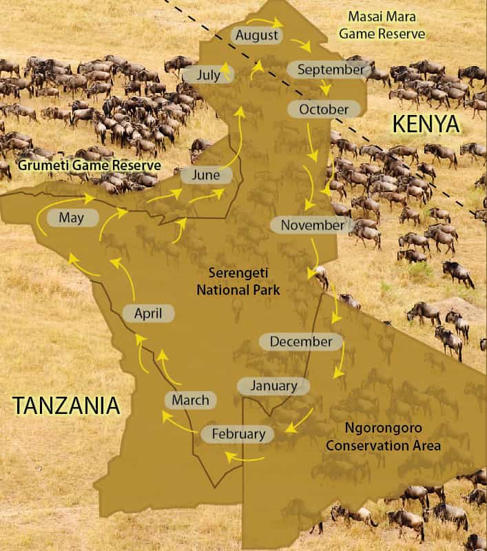 Serengeti Plains