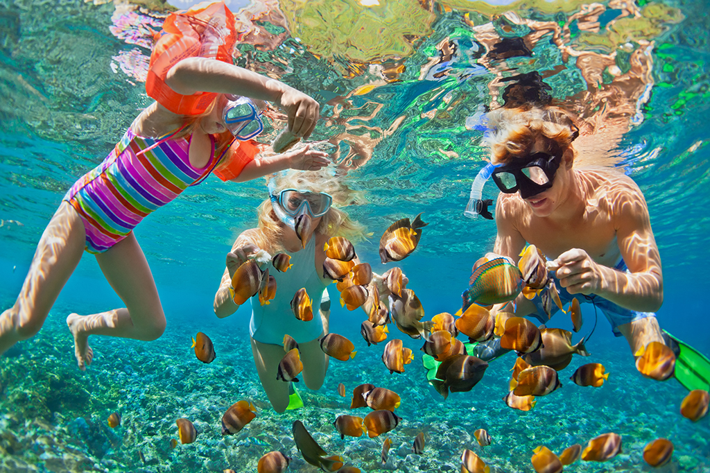 Snorkelling in Zanzibar