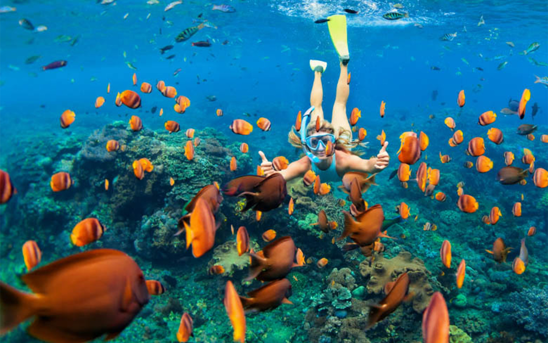 Snorkeling