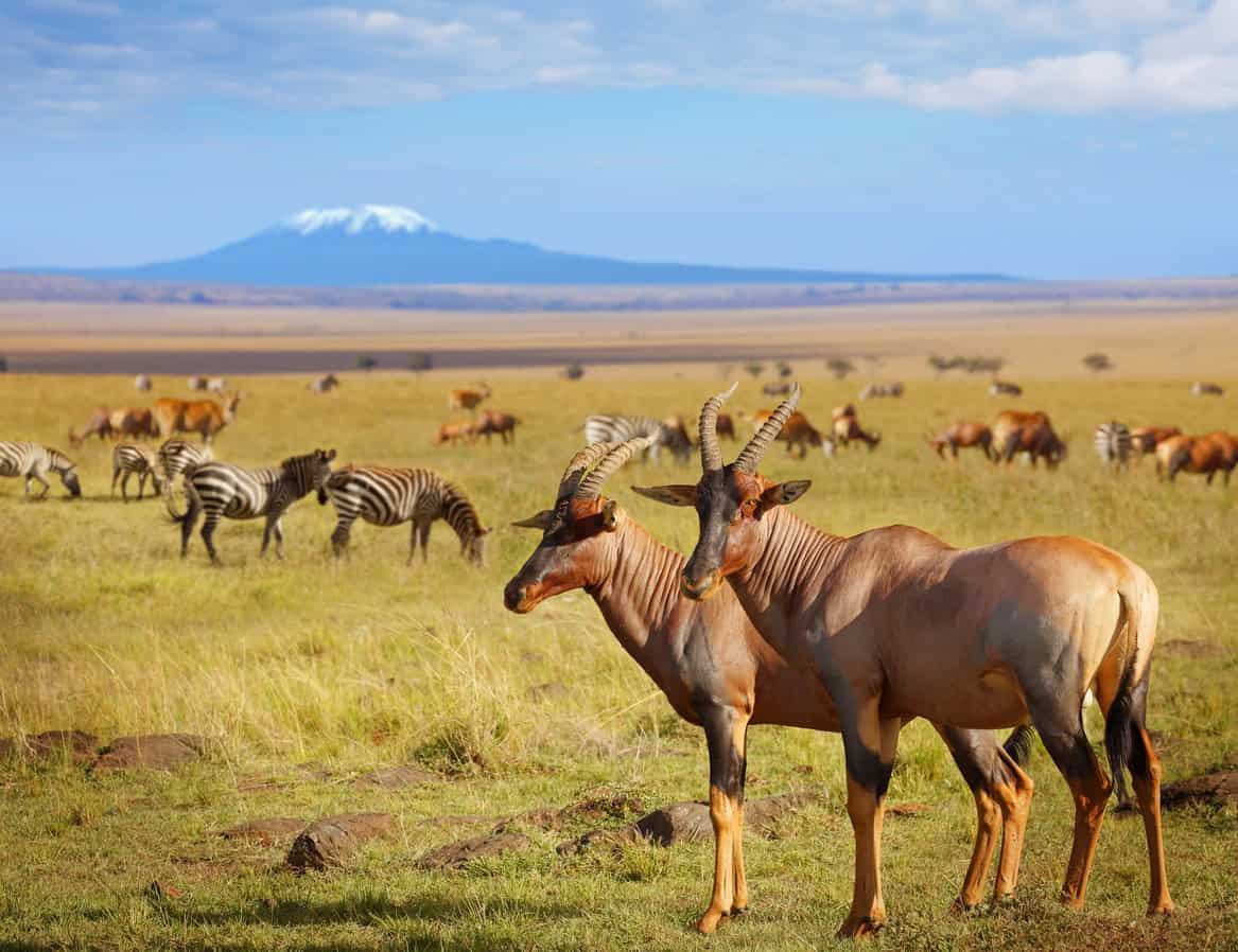 Maasai Mara National Reserve