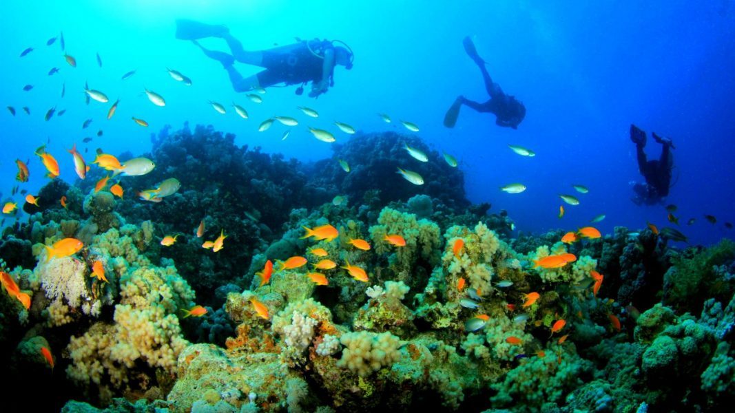 Snorkeling