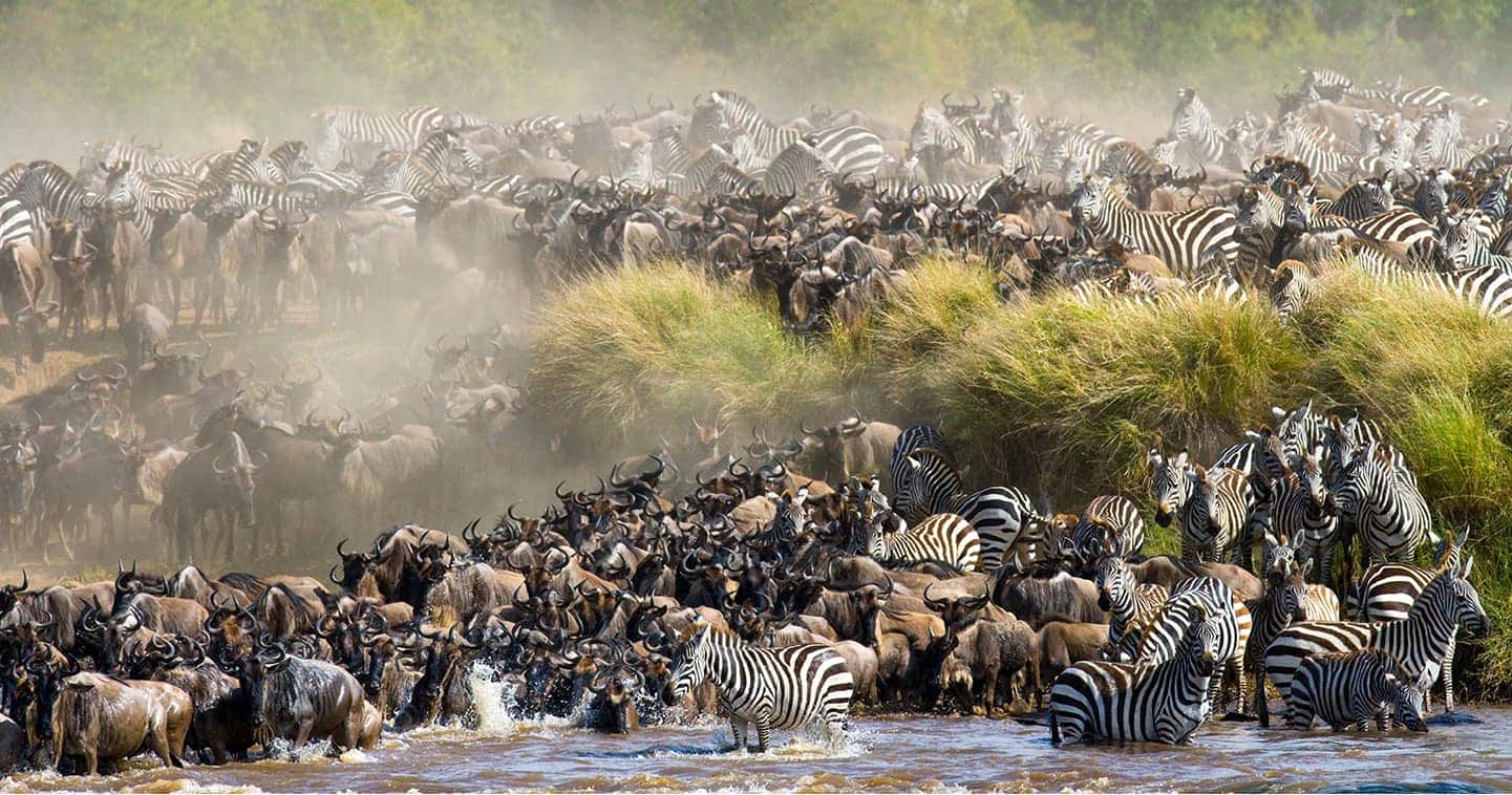 Maasai Mara National Reserve
