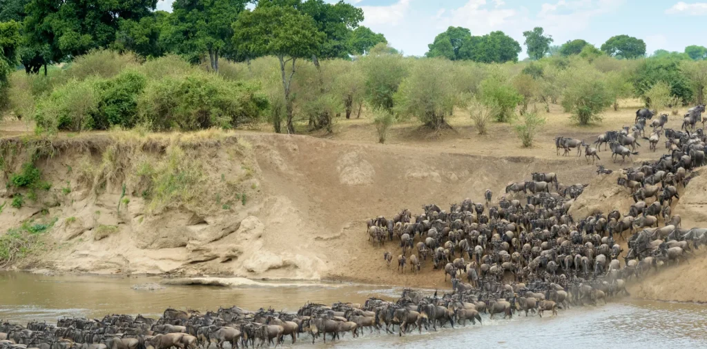 River Crossing