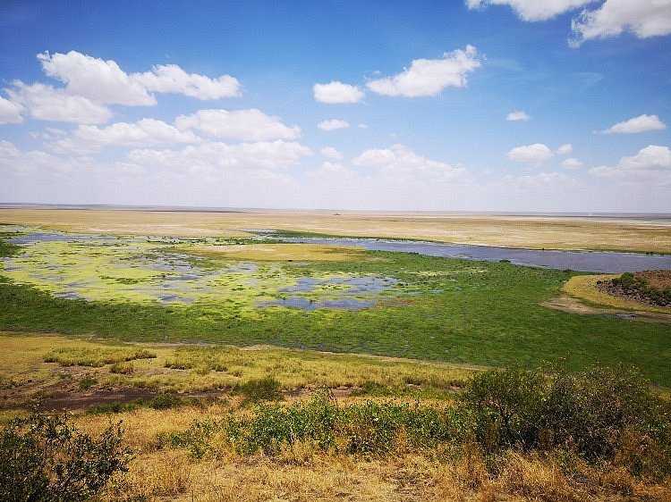 Amboseli Swamp