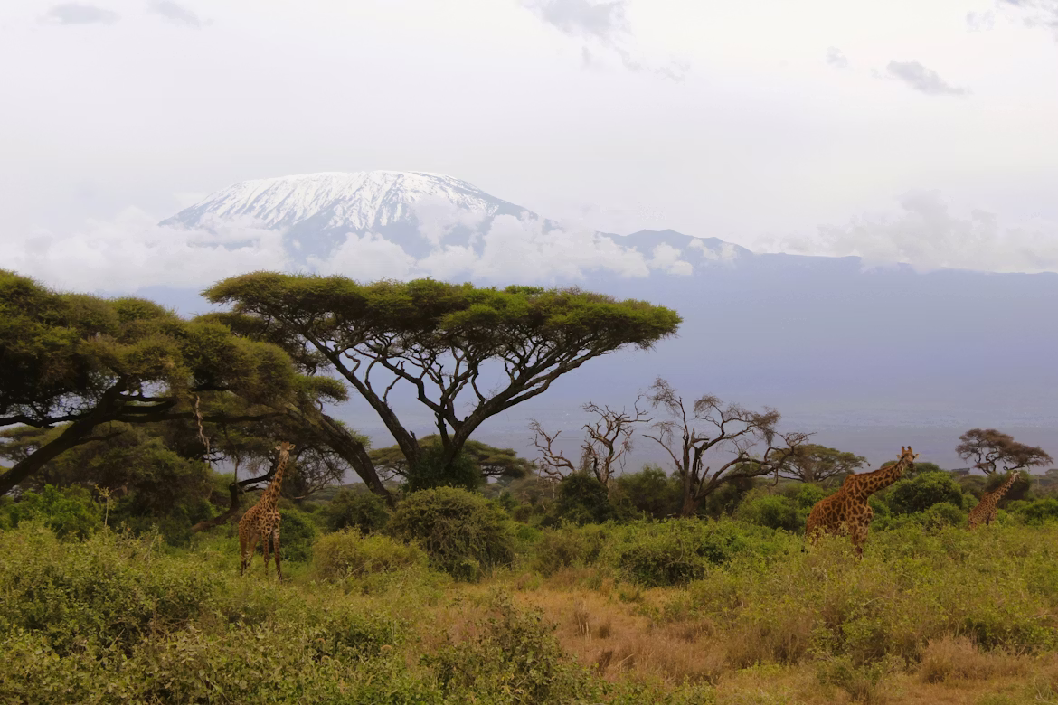 Mountain Hiking Northern Tanzania