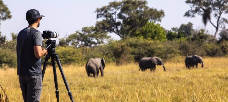 Photographic safari tours